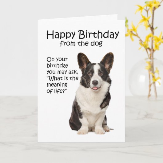 Funny Corgi carte d'anniversaire (Fleur jaune)