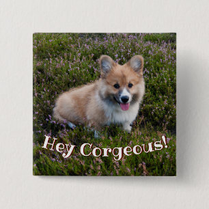 Funny Corgi Puppy Pun Vierkante Button 5,1 Cm