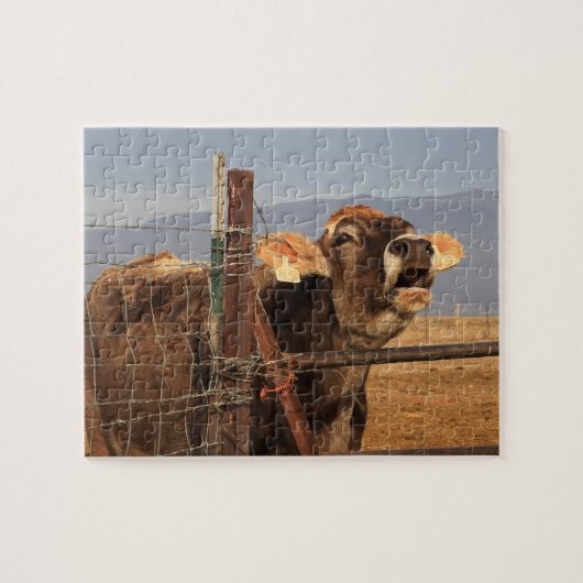 Funny Cow Legpuzzel (Horizontaal)