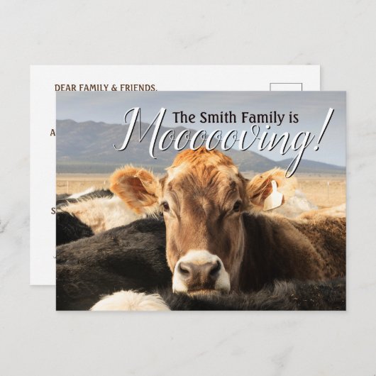 Funny Cow Moving Aankondigingskaart (Voorkant / Achterkant)