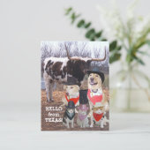 Funny Cowboy Pets Hallo uit Texas Briefkaart (Staand voorkant)