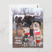 Funny Cowboy Pets Hallo uit Texas Briefkaart (Voorkant / Achterkant)