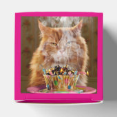 Funny Cranky Cat with Melthday Cupcake Bedankdoosjes (Bovenkant)