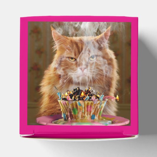 Funny Cranky Cat with Melthday Cupcake Bedankdoosjes (Bovenkant)