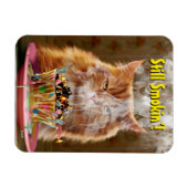 Funny Cranky Cat with Melthday Cupcake Magneet (Horizontaal)