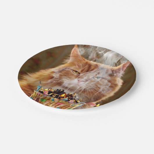 Funny Cranky Cat with Melthday Cupcake Papieren Bordje (Gekanteld)