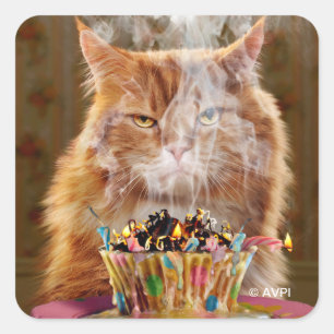 Funny Cranky Cat with Melthday Cupcake Vierkante Sticker
