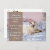 Funny Crazy Cat Humor Briefkaart (Voorkant / Achterkant)