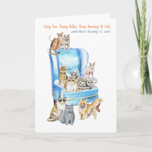 Funny Crazy Cat Lady Carte d'anniversaire - Regard (Devant)
