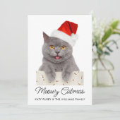 Funny Custom Cat Photo Carte de Noël (Debout devant)