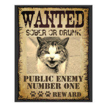 Funny custom want poster