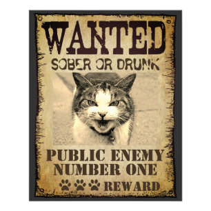 Funny custom want poster