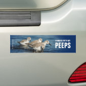 Funny Cute 4 Sanderlings Sandpipers bij het strand Bumpersticker (Op auto)