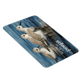 Funny Cute 4 Sanderlings Sandpipers bij het strand Magneet (Rechterzijde)