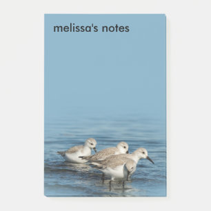 Funny Cute 4 Sanderlings Sandpipers bij het strand Post-it® Notes