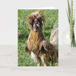 Funny Cute Bad Hair Day Rooster Kaart