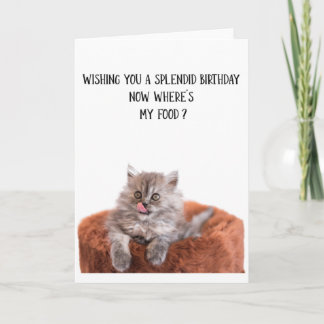 Funny Cute Cat Birthday Wenskaart Kaart