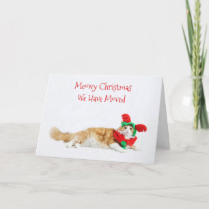 Funny Cute Cat Kerstmis Verplaatsend Nieuw Adres Aankondiging