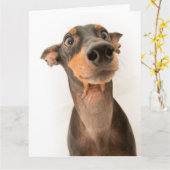 Funny Cute Doberman Puppy Dog Kaart (Gele Bloem)