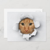 Funny Cute Ginger Mackerel Tabby Cat Briefkaart (Voorkant / Achterkant)