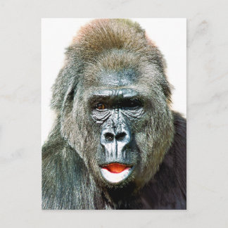 FUNNY CUTE GORILLA BRIEFKAART