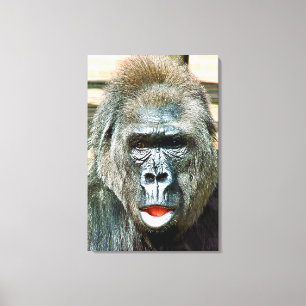 FUNNY CUTE GORILLA CANVAS AFDRUK