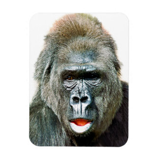 FUNNY CUTE GORILLA MAGNEET