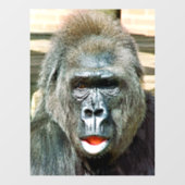 FUNNY CUTE GORILLA RAAMSTICKER (Vel)