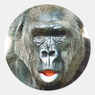 FUNNY CUTE GORILLA RONDE STICKER