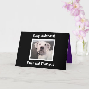 Funny Cute Grumpy White Dog 40th Birthday Black Kaart
