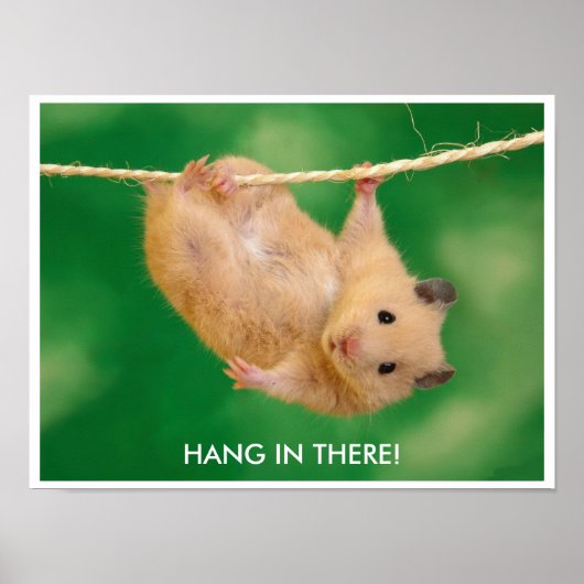 Funny & Cute Hamster Poster (Voorkant)