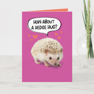 Funny Cute Hedgel die Prick uit de geboorte haalt Kaart