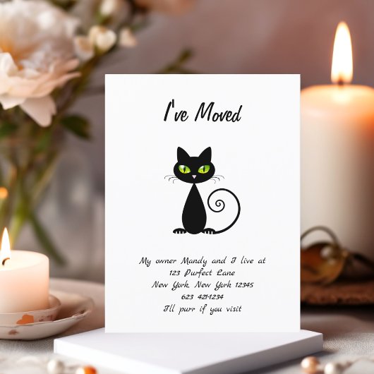 Funny Cute, ik heb de aankondiging van Black Cat v