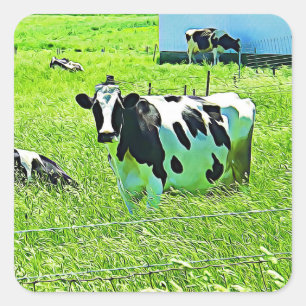 Funny Cute-Koeien op Boerderij Barn-Stickers Vierkante Sticker