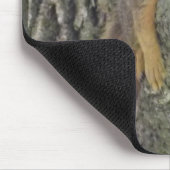 Funny Cute Lazy Squirrel on Tree Branch Muismat (Hoek)