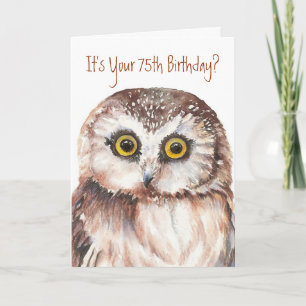 Funny-Cute Little Owl, 75th Birthday Card Kaart