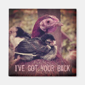 Funny Cute Moeder Hen en Chick Magneet (Voorkant)