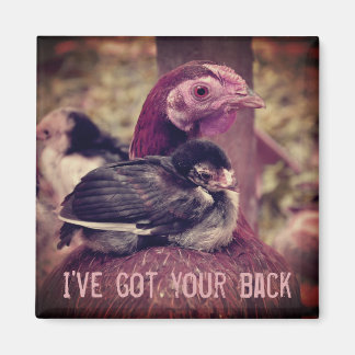 Funny Cute Moeder Hen en Chick Magneet