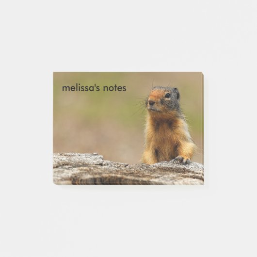 Funny Cute Saucy Columbian Ground Squirrel Post-it® Notes (Voorkant)