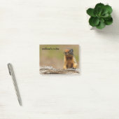 Funny Cute Saucy Columbian Ground Squirrel Post-it® Notes (Kantoor)