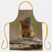 Funny Cute Saucy Columbian Ground Squirrel Schort (Voorkant)