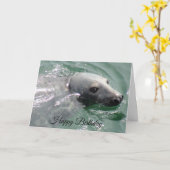 Funny Cute Seal Happy Birthday Kaart (Gele Bloem)