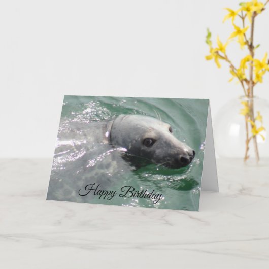 Funny Cute Seal Happy Birthday Kaart (Gele Bloem)