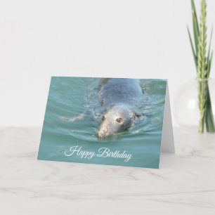 Funny Cute Seal Happy Birthday Kaart