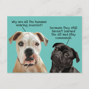 Funny Cute Sit/Blijf honden tijdens pandemie Geen Briefkaart