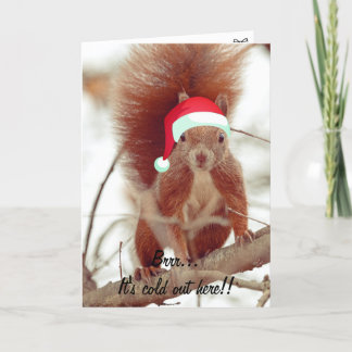Funny Cute Squirrel Merry Kerstmis Feestdagen Kaart