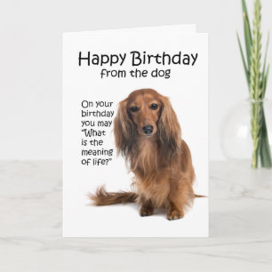Funny Dachshund Birthday Card Kaart