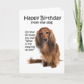 Funny Dachshund Carte d'anniversaire (Devant)