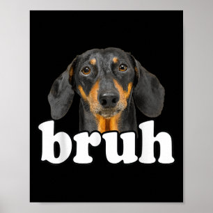 Funny Dachshund Meme Gezegde Bruh Funny Dog Sarcas Poster
