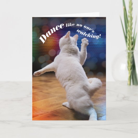 Funny Dancing Cat - Niemand ziet de Birthday Kaart (Voorkant)